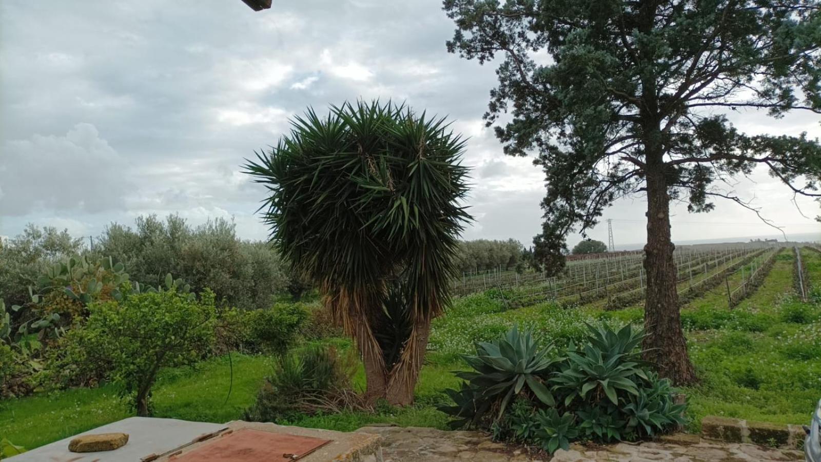 Casa Bouganville Villetta Tra Le Vigne E Il Mare Menfi Extérieur photo