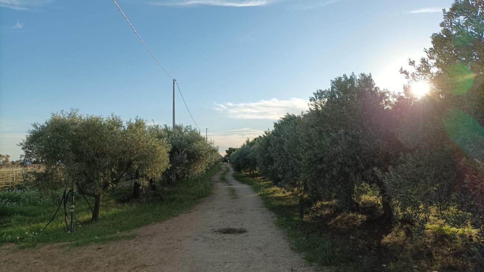 Casa Bouganville Villetta Tra Le Vigne E Il Mare Menfi Extérieur photo